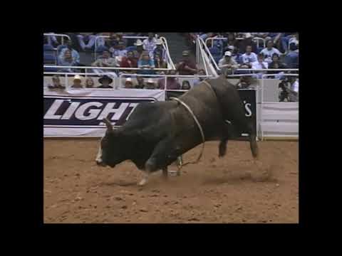 Tumbleweed bucks David Fournier - 95 PBR Charlotte