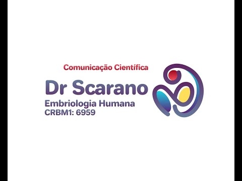 Desenvolvimento do Sistema Cardiovascular - Valvas e grandes vasos