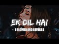 Ek Dil Hai [Slowed Reverb]. || old Hindi Songs || @ARSSMusicCompany2003jj