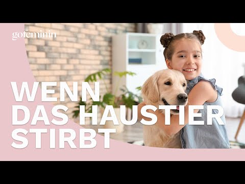 Wenn das Haustier stirbt