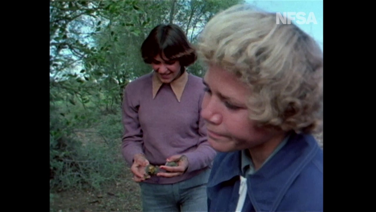 My Survival as an Aboriginal (1978) - Survival lessons