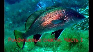 Приманки для рокфишинга на черном море