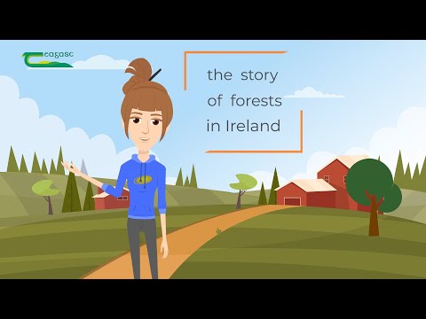 Ireland’s trees: our heritage 10,000 years in the making