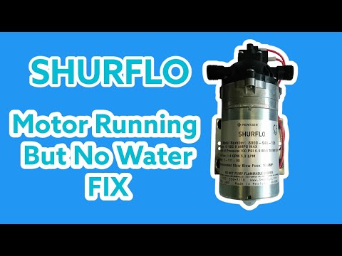 Shurflo Pump Not Pumping