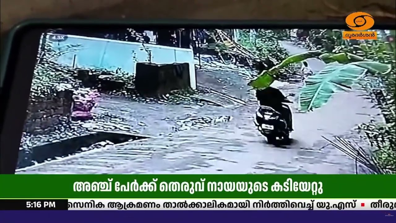 കോഴിക്കോട് റോഡിലൂടെ നടന്നു പോവുകയായിരുന്ന അഞ്ച് പേ