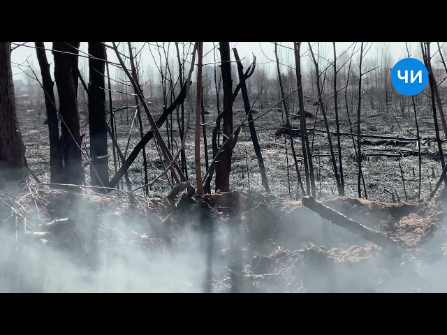 Пожар за 52 комплексом в Челнах