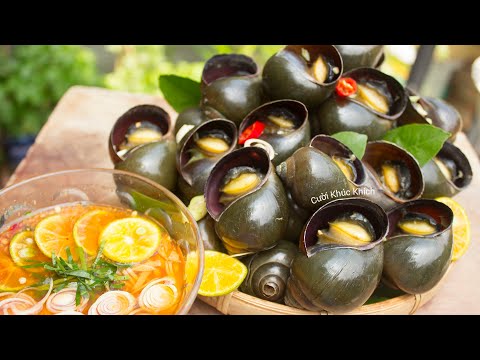 NGÂM ỐC VỚI ỚT LÀ SAI NGÂM VỚI THỨ NƯỚC NÀY ỐC NHANH NHẢ SẠCH BÙN ĐẤT GẤP 10 LẦN - CKK