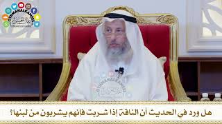 526 - هل ورد في الحديث أن الناقة إذا شربت فإنهم يشربون من لبنها؟ - عثمان الخميس