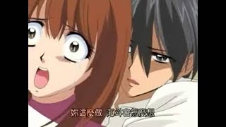 [討論] 真珠美人魚 當年有多紅?