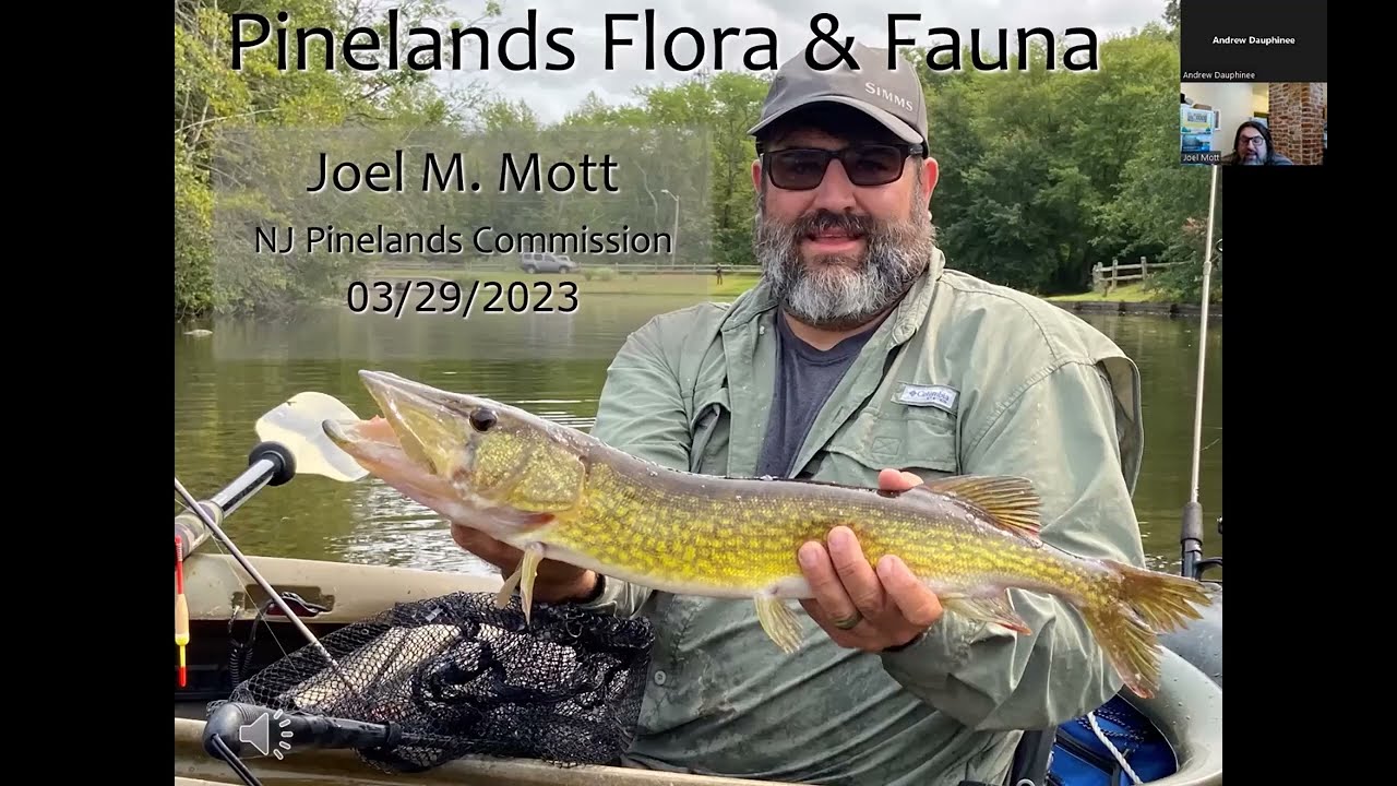 Pinelands Flora and Fauna