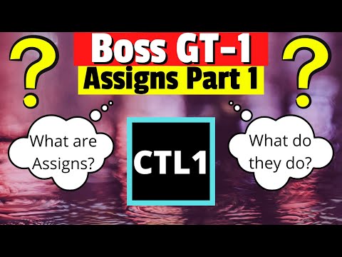 Boss GT-1 Assign Tutorial | What are Assigns? | Walkthrough in Boss Tone Studio
