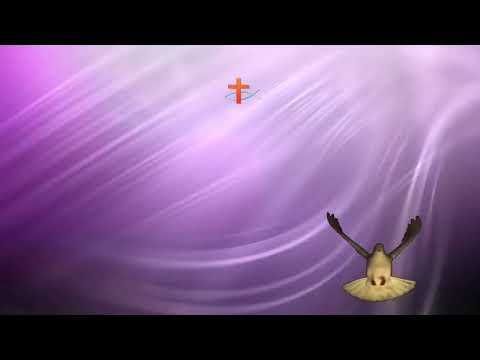 Ти си цар & инструментал ✔️ ♪♪♪