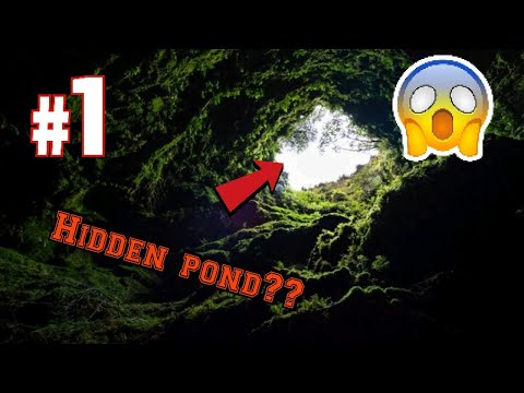 Hidden nature pool found ??!{|Fun BANANA🍌|}