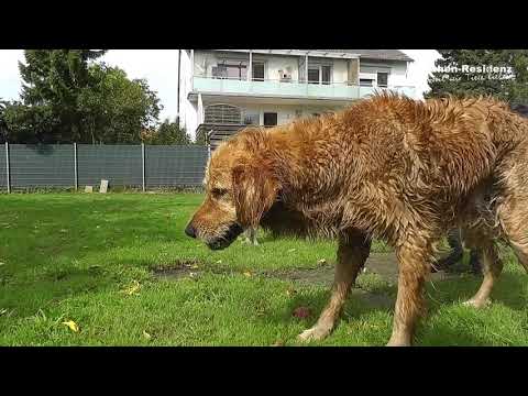 Wochenrückblick mit Schmackes