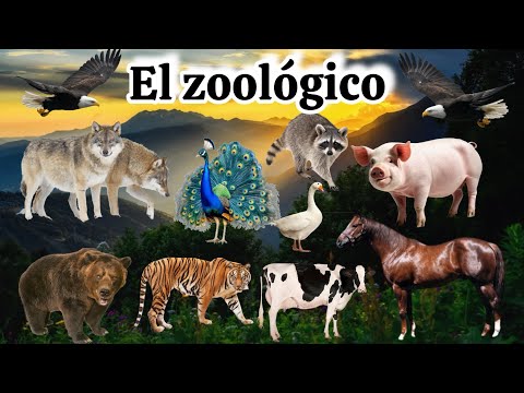 El zoológico de Guadalajara en Madrid 