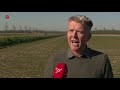 Tekort seizoensarbeiders door corona,  boer zoekt hulp van inwoners Flevoland
