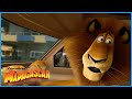 Dubois Car Chase DreamWorks Madagascar