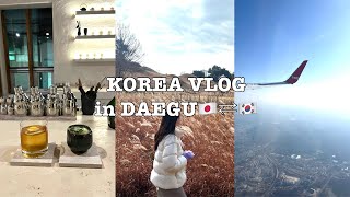 대구워홀VLOG / 大邱ワーホリ✈️ ep.9 워홀 마지막 브이로그