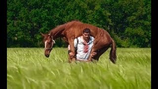 The Man who Lifts Horses: Unconventional Strength
