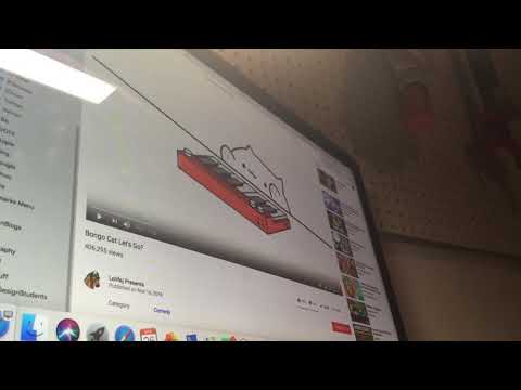 Me reacting to bongo cat