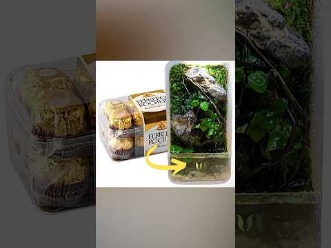 Don't throw away empty Ferrero Rocher chocolate boxes