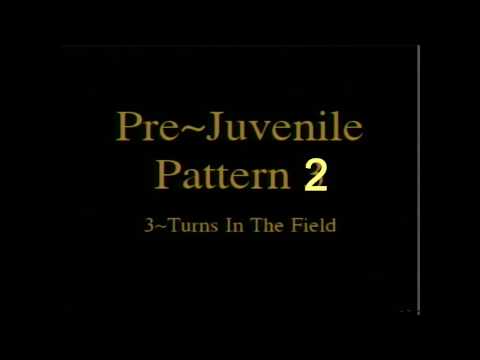 Pre-Juvenile Moves In The Field (Interzilver) Figure Skating