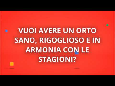 Eparina unguento osteocondrosi del collo Da ciò articolazioni dolenti delle mani e dei piedi Psicosomatica