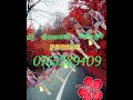 Rogeti Sara Official Audio Mpya 2026 Remix Dj Damasi Ilungu