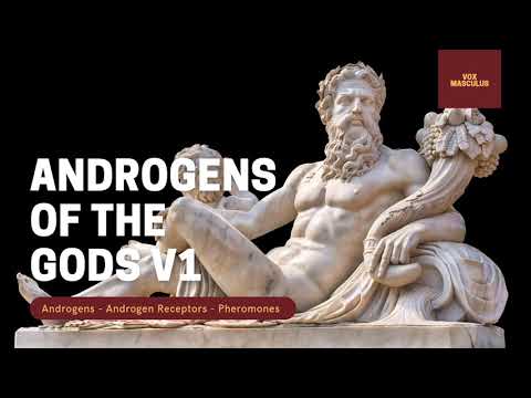 Androgens of the Gods v1 - Increase Masculinity | Powerful Subliminal