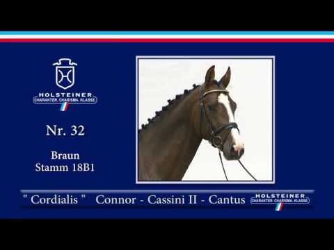 Holsteiner Körlot 2018 | Nr. 32 - CORDIALIS v. Connor-Cassini II