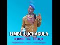 LIMBU LUCHAGULA UJUMBE WA SHINJE