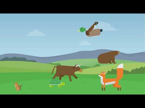 01 Climate Change Carnivores