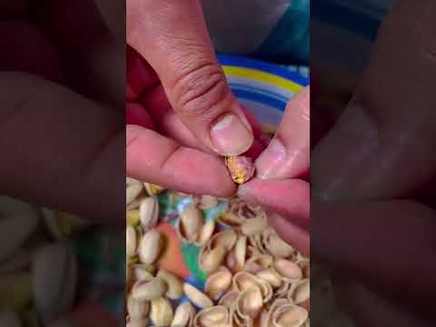 Nutslane Premium Salted and Slow Roasted Pistachios, Pouch