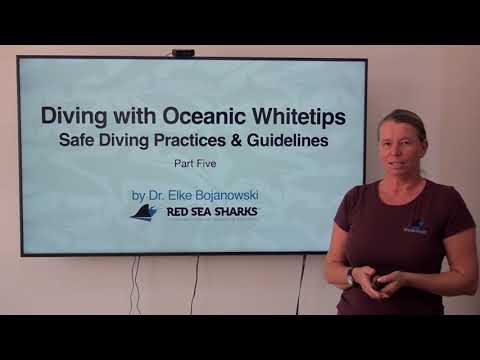 Part 5: Summary of Pre-dive Information