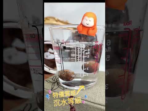 收藏級-沉水梢楠手珠