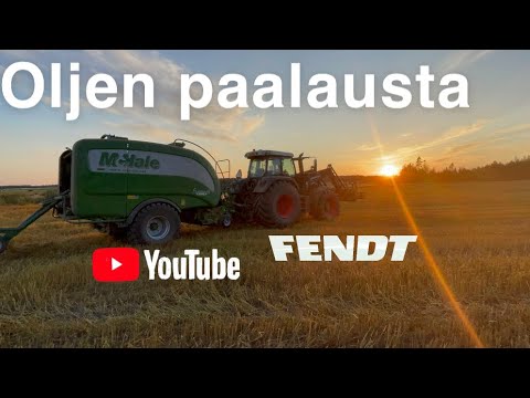 Oljen paalausta 2021