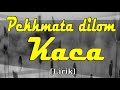 LIRIK LAGU LAMPUNG PEKHMATA DILOM KACA Lirik