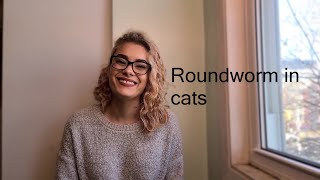 Roundworm in cats
