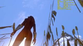 Skyrim SPECIAL EDITION - UNP тело уже доступно