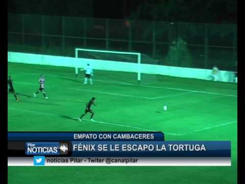 RESUMEN FENIX CAMBACERES