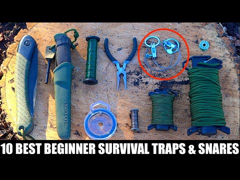 Catch Wild Game Using The 10 Best Beginner Primitive Traps and Snares!