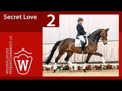 02 Secret Love Stute v.  San Amour - Friedenstraum