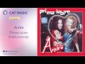 Andre - Prima iubire (instrumental) 