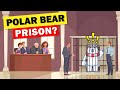 The World's Only Polar Bear Prison!