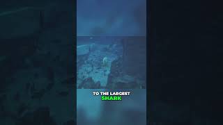 Explore the Wonders of Cancun Interactive Aquarium: Travel  Marine Ecosystems #traveling #travel