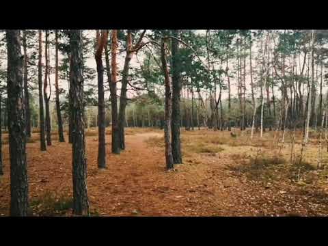 Szałas w lesie - OTWOCK