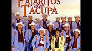 Banda Los Pajaritos 