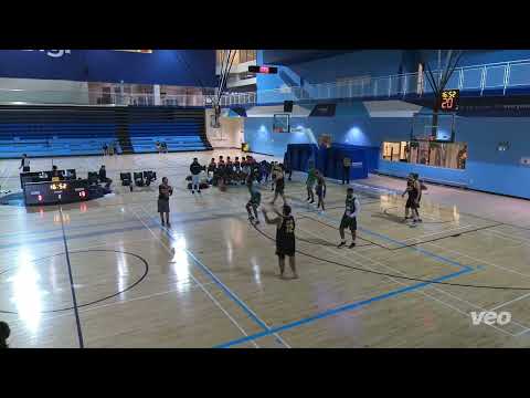 beards and buckets vs baranguys - sunday tier - tcbl 2022 summer