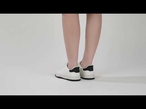 YouTube動画