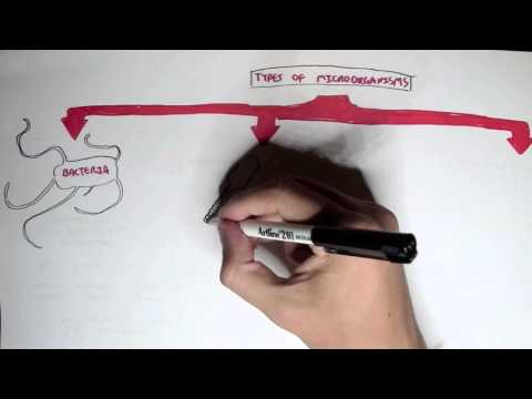 Microbiology - Overview